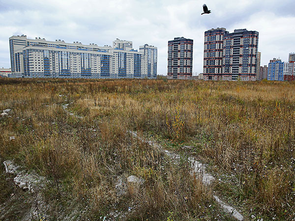 Пётр Ковалёв, "ДП"